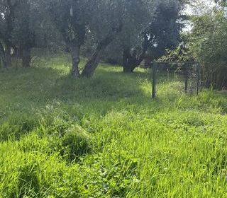  Terrain � vendre 2385 m�