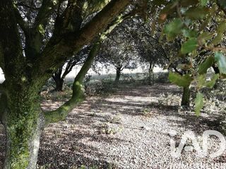  Terrain � vendre 1368 m�