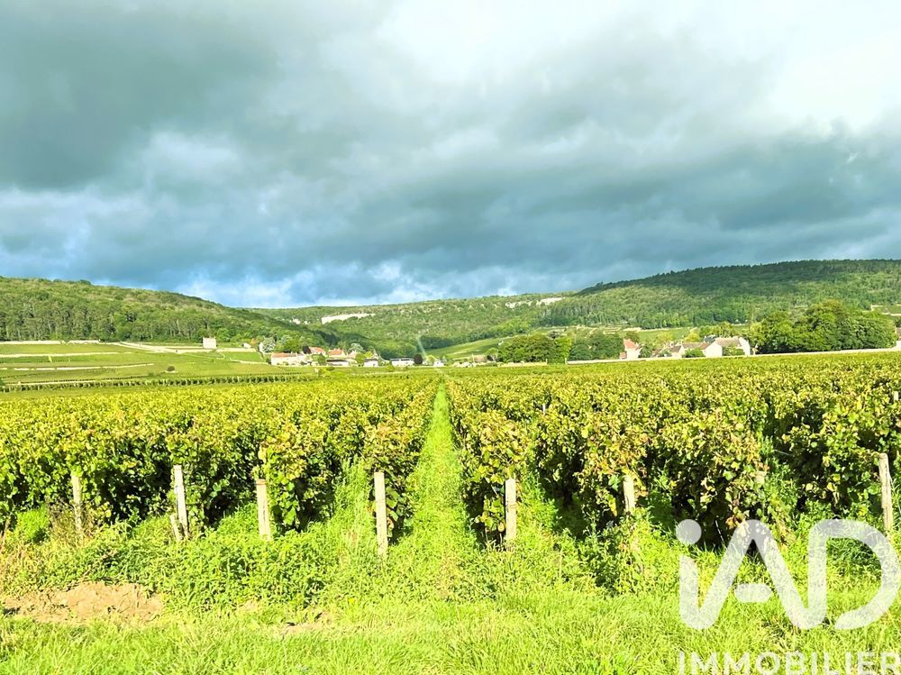 � vendre  Maison Vougeot (21640)