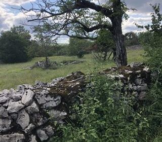  Terrain � vendre 2458 m�