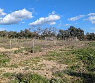  Terrain � vendre 6340 m�