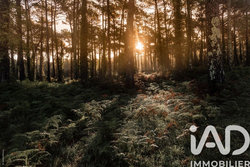 � vendre  Maison Anglet (64600)