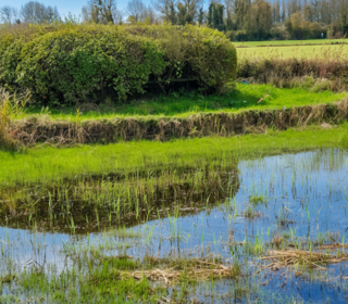  Terrain � vendre 5567 m�