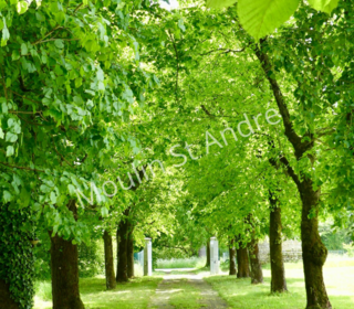  Maison � vendre 6 pi�ces 197 m�