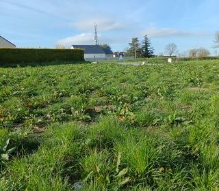  Terrain � vendre 550 m�