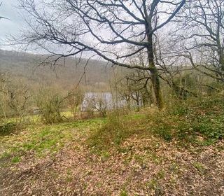  Terrain � vendre 116077 m�