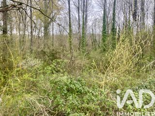  Terrain � vendre 19123 m�
