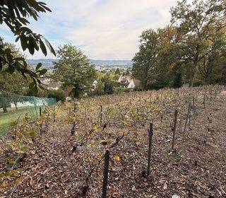  Terrain � vendre 749 m�