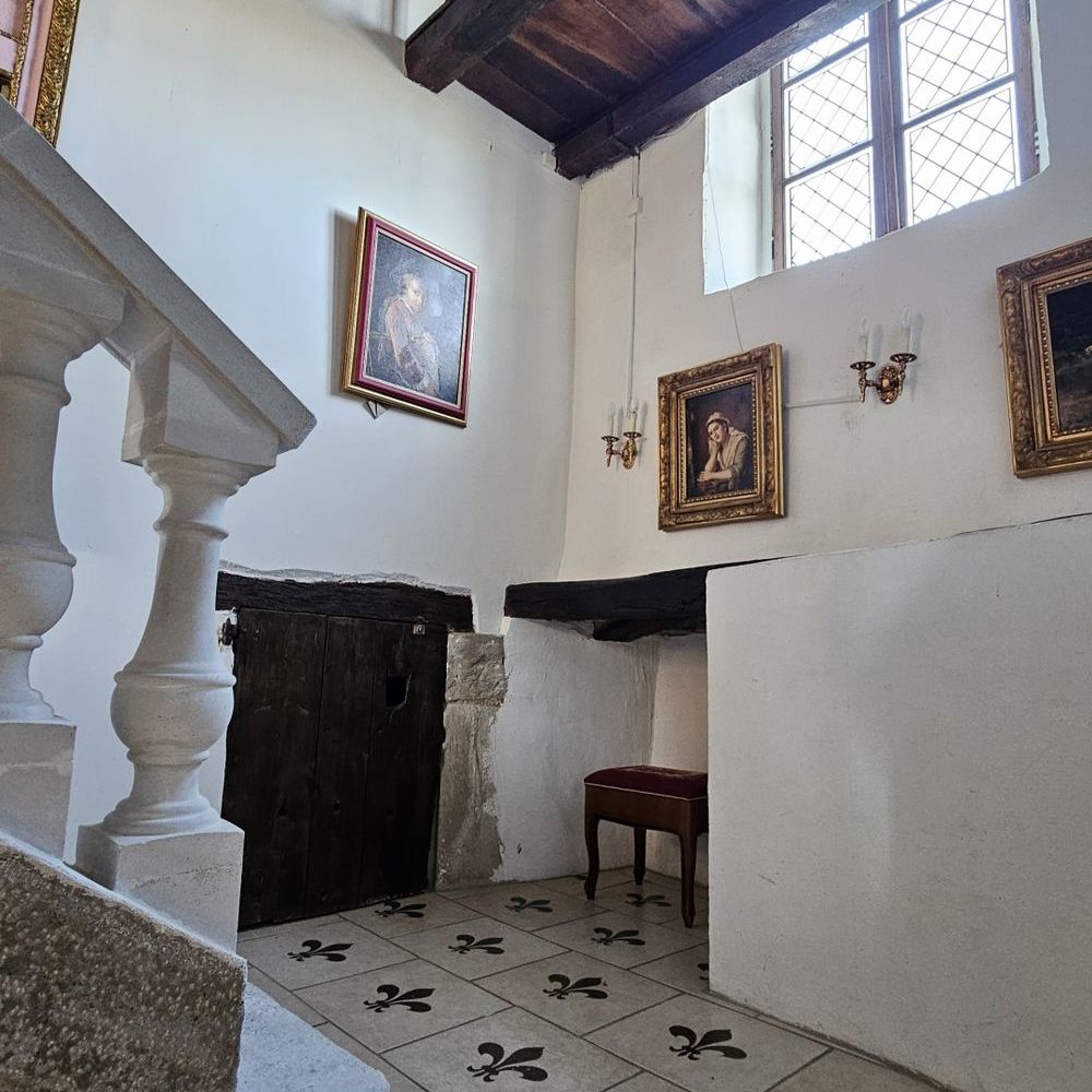 � vendre  Propri�t�/ch�teau Vi�vy (21230)