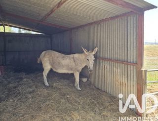  Maison � vendre 15 + pi�ces 373 m�