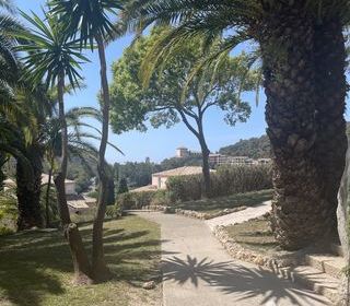  Appartement � vendre 2 pi�ces 22 m�