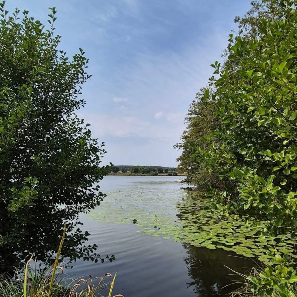 � vendre  Maison Ch�teaumeillant (18370)