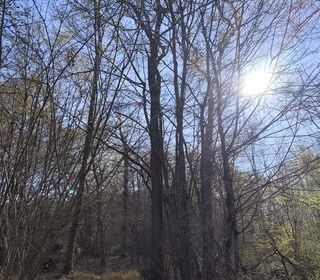  Terrain � vendre 48910 m�