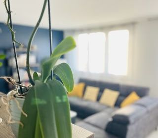  Appartement � vendre 4 pi�ces 67 m�