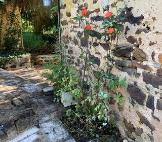  Maison � vendre 5 pi�ces 170 m�