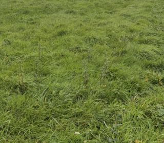  Terrain � vendre 2208 m�