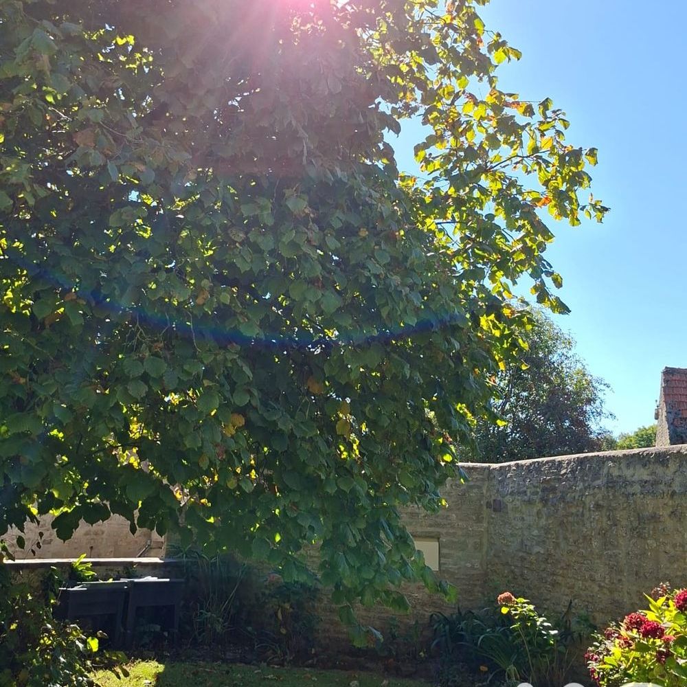 � vendre  Maison Vaux-sur-Aure (14400)