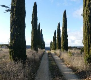  Terrain � vendre 27155 m�