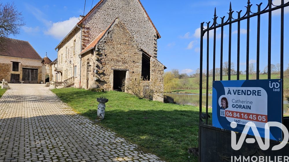 � vendre  Propri�t�/ch�teau Vi�vy (21230)