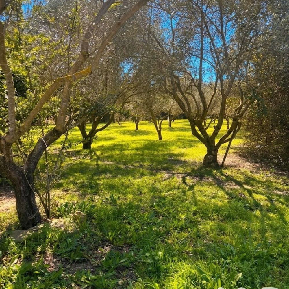 � vendre  Maison Carc�s (83570)