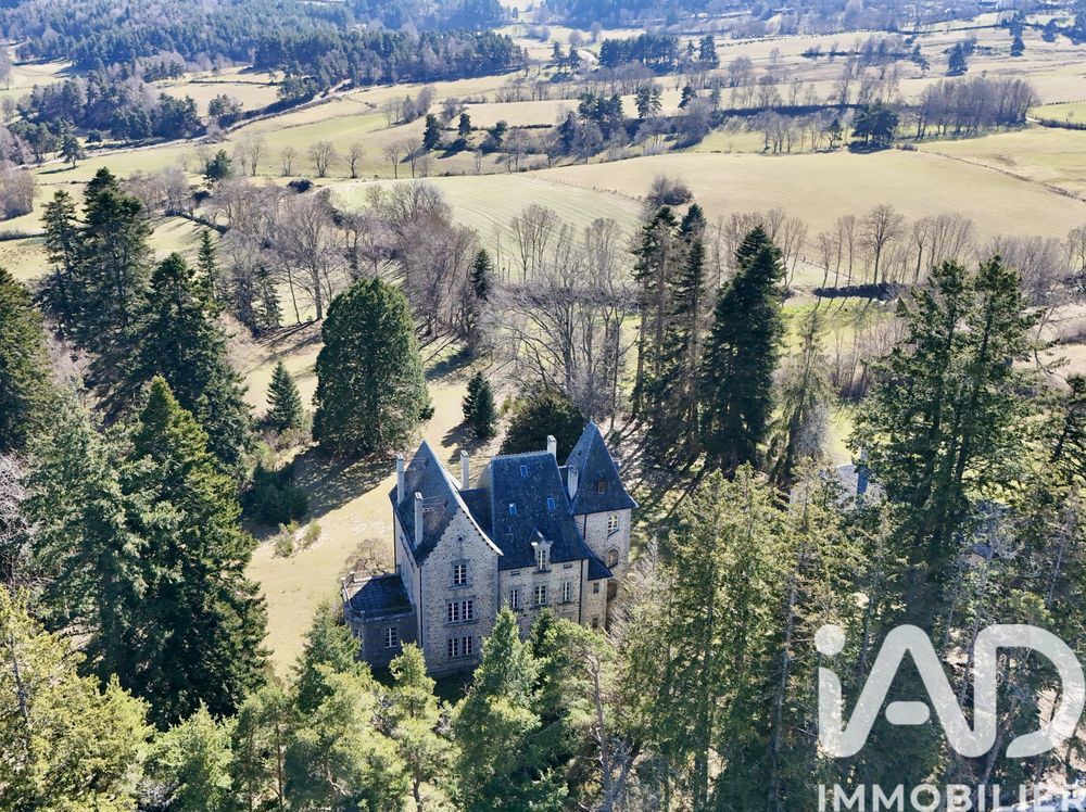 � vendre  Propri�t�/ch�teau Albaret-Sainte-Marie (48200)