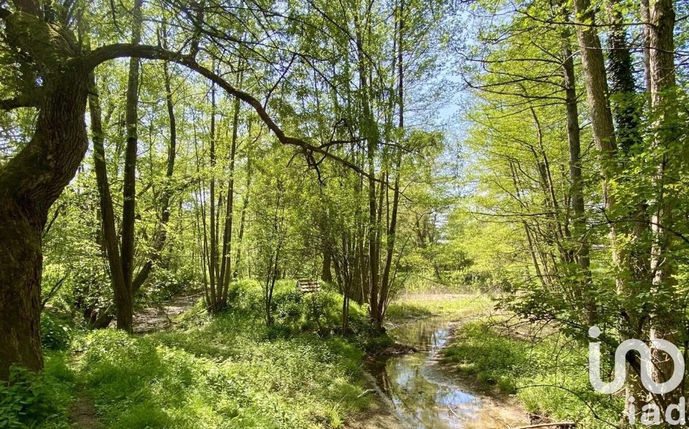 � vendre  Maison Sa�cy-sur-Marne (77730)