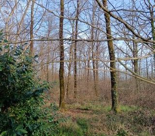  Terrain � vendre 24045 m�