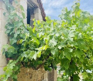  Maison � vendre 9 pi�ces 215 m�