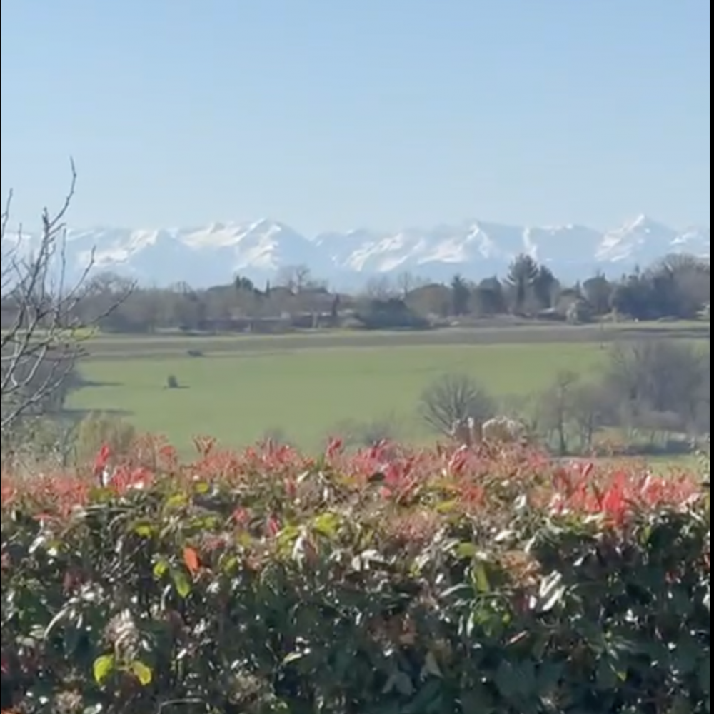 � vendre  Villa L'Isle-Jourdain (32600)