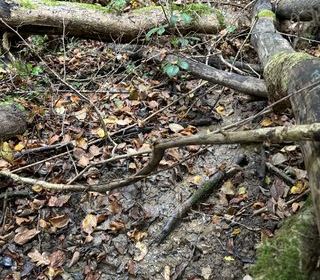  Terrain � vendre 732 m�