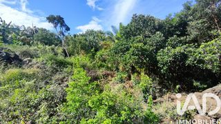  Terrain � vendre 439 m�