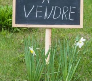  Terrain � vendre 9727 m�