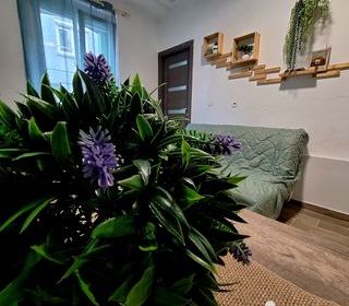  Appartement � vendre 1 pi�ce 15 m�