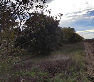  Terrain � vendre 7825 m�