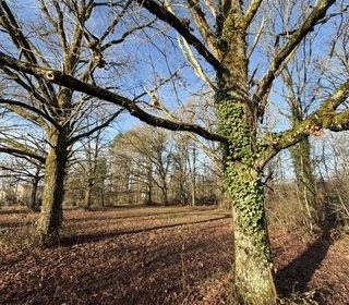  Terrain � vendre 9422 m�