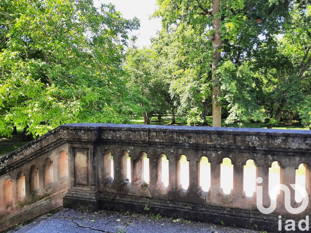 � vendre  Propri�t�/ch�teau Segonzac (16130)