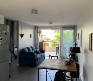  Appartement � vendre 3 pi�ces 52 m�