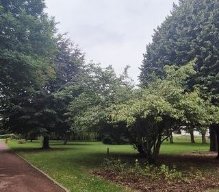  Appartement � vendre 3 pi�ces 56 m�