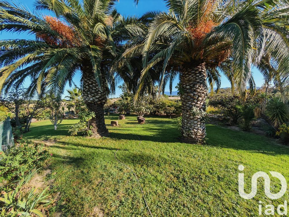 � vendre  Maison Perpignan (66000)