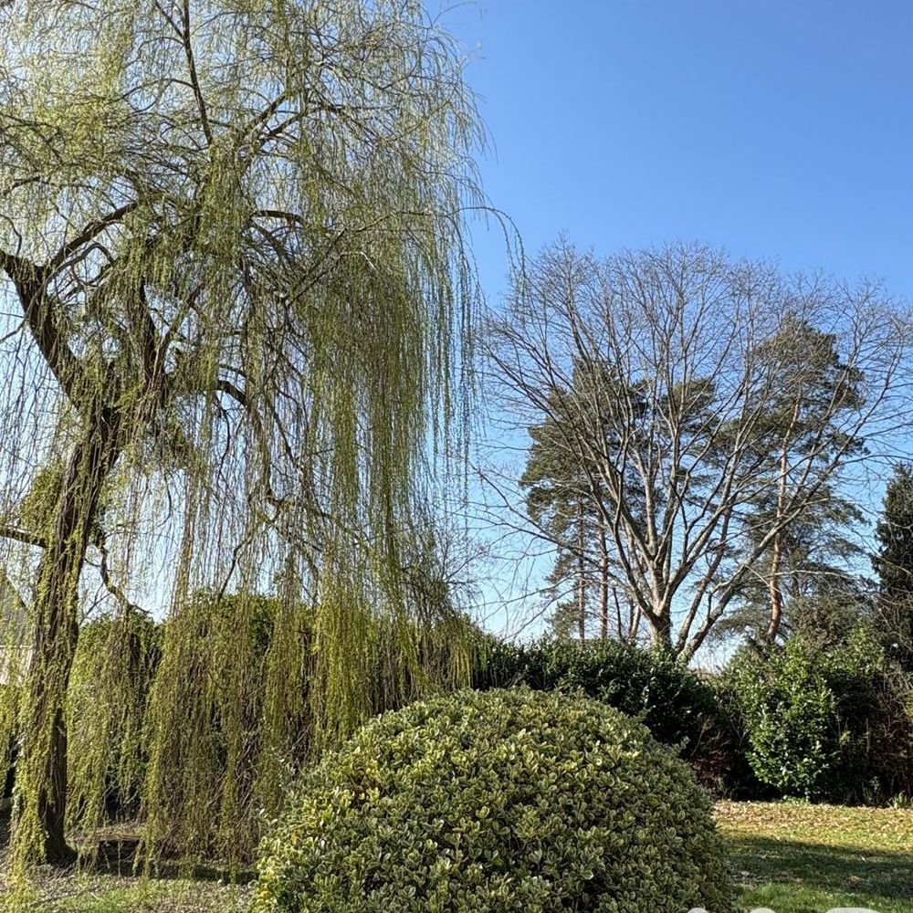 � vendre  Maison Saint-Cyr-sur-Loire (37540)