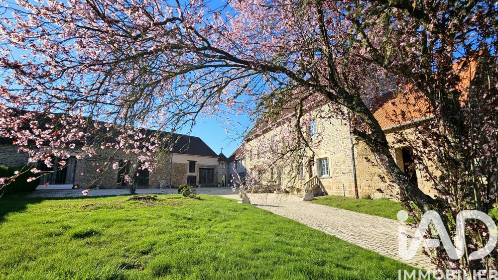 � vendre  Propri�t�/ch�teau Vi�vy (21230)