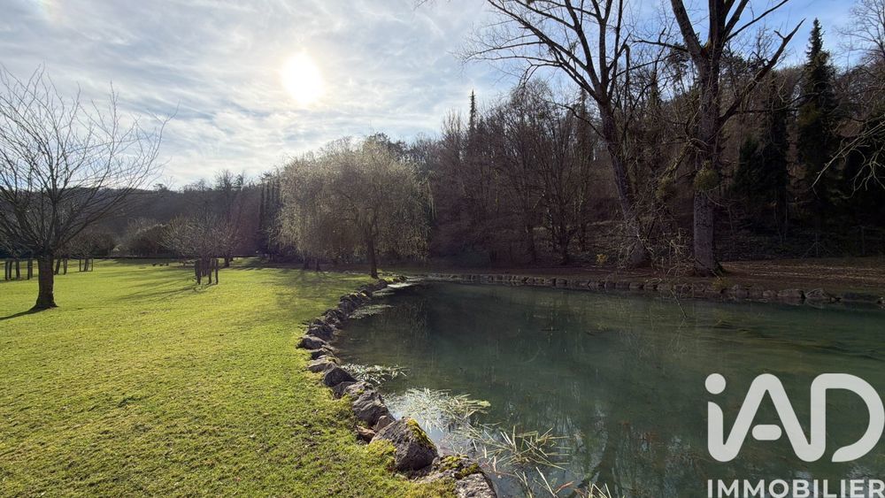 � vendre  Propri�t�/ch�teau Joinville (52300)