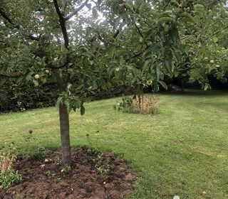  Terrain � vendre 807 m�