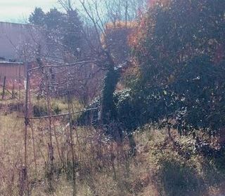  Terrain � vendre 545 m�