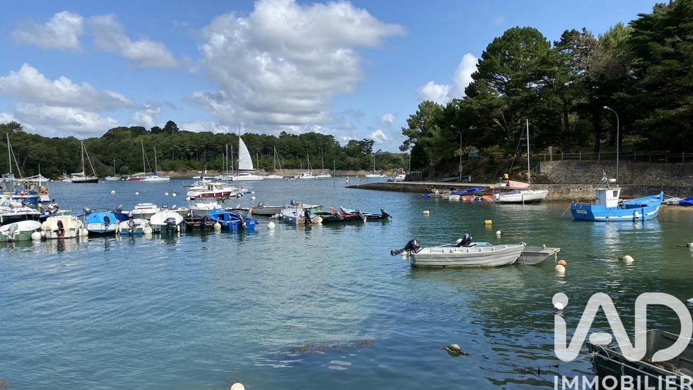 � vendre  Maison S�n� (56860)