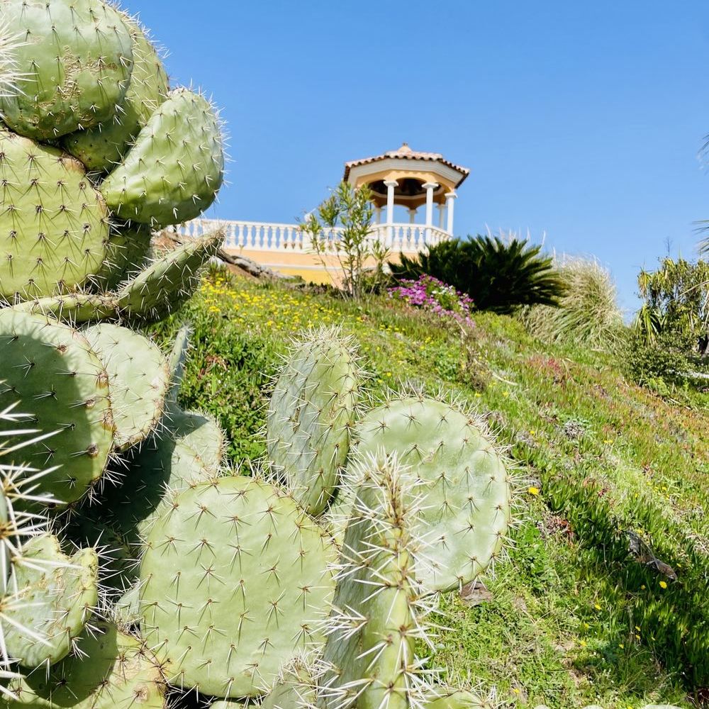 � vendre  Maison Saint-Rapha�l (83700)