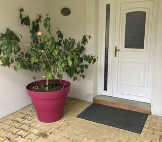  Maison � vendre 5 pi�ces 104 m�