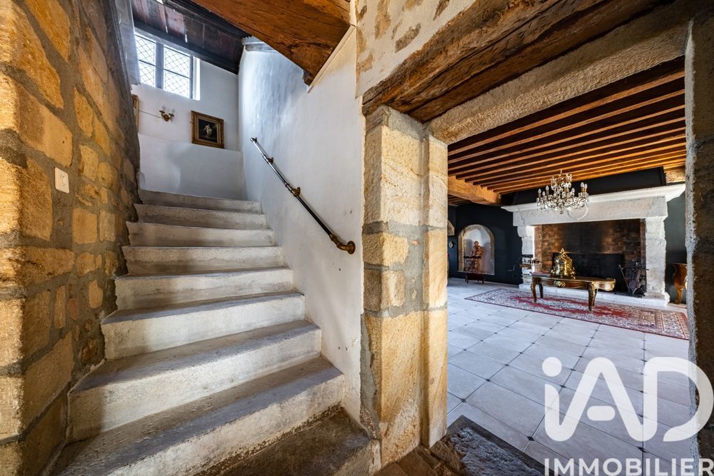 � vendre  Propri�t�/ch�teau Vi�vy (21230)