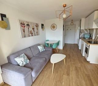  Appartement � vendre 1 pi�ce 20 m�