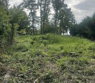  Terrain � vendre 980 m�